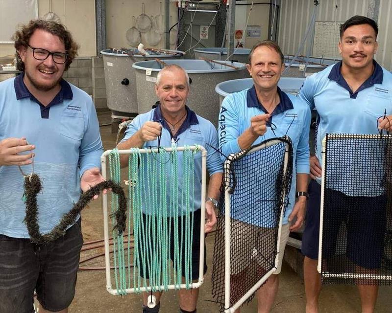 Bribie Island Research Centre's Aiden Mellor, Trevor Borchert, Max Wingfield and Kark Reiher with the experimental spat settlement substrates photo copyright Department of Primary Industries taken at 