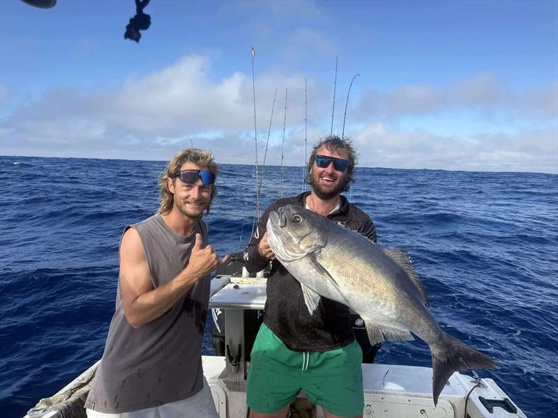 Heading extra-deep off the shelf paid dividends for Riley and crew when they stumbled over blue-eye trevalla like this one - photo © Fisho's Tackle World Hervey Bay