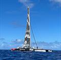 © Transpacific Yacht Club