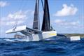 Jason Carroll's Argo is race fit from winning the RORC Transatlantic Race and Antigua 360, but seems unlikely to be able to break her own Caribbean 600 race record this year