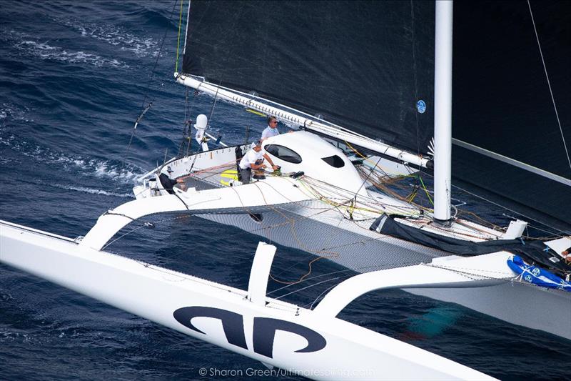 Argo, a MOD 70 trimaran, is one of two multihulls with record-setting potential - 52nd Newport Bermuda Race - photo © Sharon Green / Ultimate Sailing