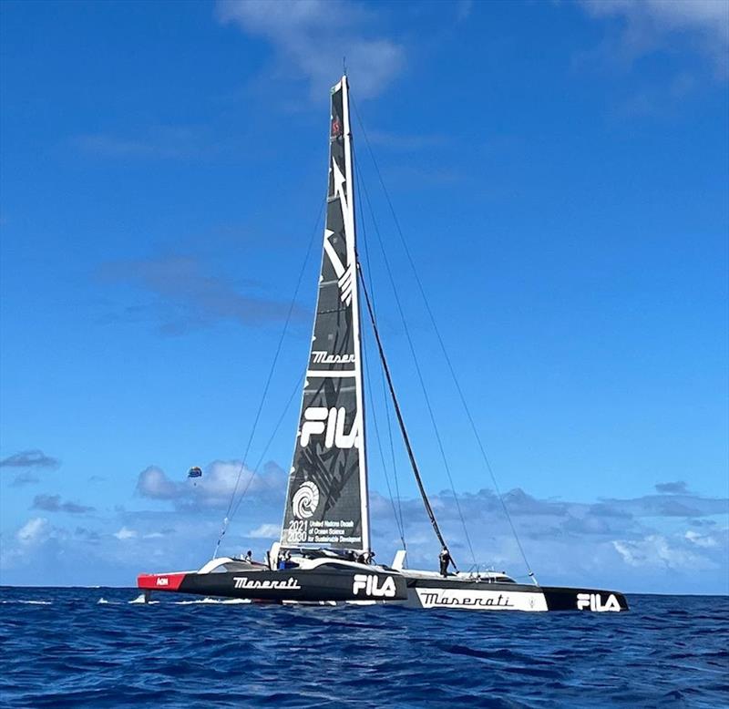 2023 Transpac - photo © Transpacific Yacht Club