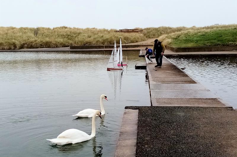 Vane 36R Leech Cup at Fleetwood photo copyright Sharon Johnson taken at Fleetwood Model Yacht Club and featuring the Model Yachting class