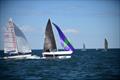 Spinnakers were a handful in gusts - Mosquito Catamaran Victorian State Titles 2022 © Craig Sheperd