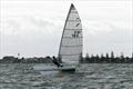 2026 Victorian Mosquito Cat Rigged State Titles &copy; Craig Shepherd