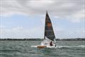 2026 Victorian Mosquito Cat Rigged State Titles &copy; Craig Shepherd