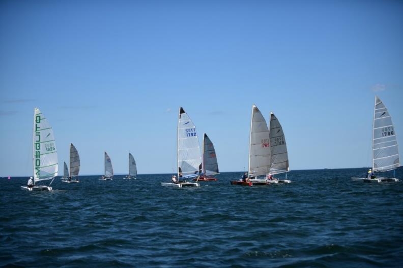 Mosquito Catamaran Victorian State Titles 2022 photo copyright Craig Sheperd taken at Altona Yacht Club and featuring the Mosquito class