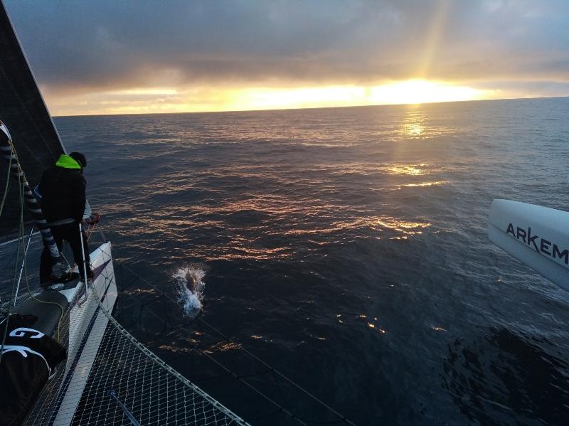 Atlantic sunset - Transat Jacques Vabre 2021 - photo © Quentin Vlamynck / Arkema Sport