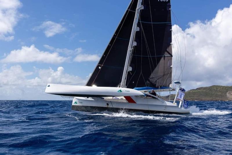 Oceans Tribute - Solo Trans-Tasman Challenge - May 2026 photo copyright Guy Chester taken at Bay of Islands Yacht Club and featuring the Multi 50 class
