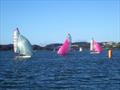 2023 Scottish Skiffs Regatta at Dalgety Bay © Ian Renilson