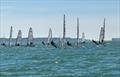 Musto Skiffs at SBSC Skiff Open 2026 &copy; Amanda Jenks