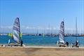 Musto Skiff fleet at the WPNSA Skiff Open &copy; Steve Robson