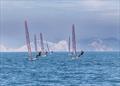 Musto Skiffs at WPNSA &copy; Michael Oliver
