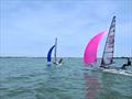 Musto Skiffs Training downwind – Saturday &copy; Rebecca Bines