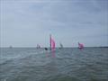 Musto Skiffs Training – Saturday - Fleet going downwind &copy; Rebecca Bines