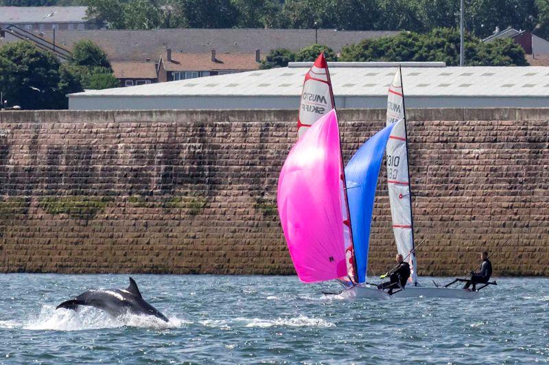 Dolphins on day 1 of the Noble Marine UK Musto Skiff National Championships at Sunderland - photo © Tim Olin / www.olinphoto.co.uk