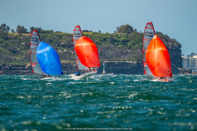 ACO 14th Musto Skiff World Championship 2025, Sydney, Australia Day 1 photo copyright Tidal Media Australia for Down Under Sail taken at Woollahra Sailing Club and featuring the Musto Skiff class