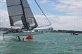 © International Foiling Camp / RNZYS