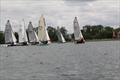 &copy; Oscar Lee