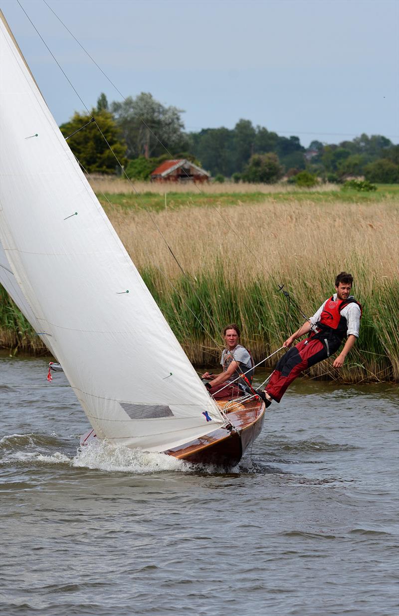Three Rivers Race 2019 photo copyright Neil Foster Photography / www.wfyachting.com taken at Horning Sailing Club and featuring the Norfolk Punt class