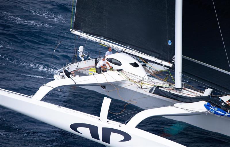 Argo during the Newport Bermuda Race photo copyright Daniel Forster taken at Royal Bermuda Yacht Club and featuring the  class