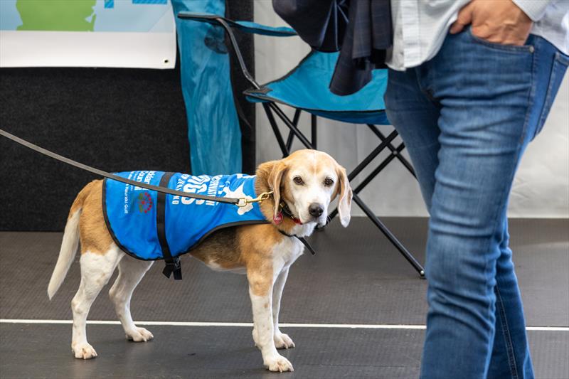 Auckland Council Biosecurity Dogs - Auckland Boat Show - Wynyard / Jellicoe Harbour - Day 2 - March 6, 2026  - photo © Auckland Boat Show