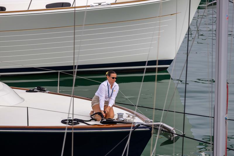 Auckland Boat Show - Wynyard / Jellicoe Harbour - Day 2 - March 6, 2026  - photo © LiveSailDie