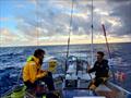 McIntyre Ocean Globe Race 2023 - Found the trades. Long may it last. Running with the A3, staysail and full main, report Sterna. Skipper Rufus and Gerrit putting the world to rights