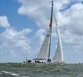 Choppy waves in the Punta del Este waters - Ocean Globe Race Leg 4 © The Maiden Factor / Kaia Bint Savage