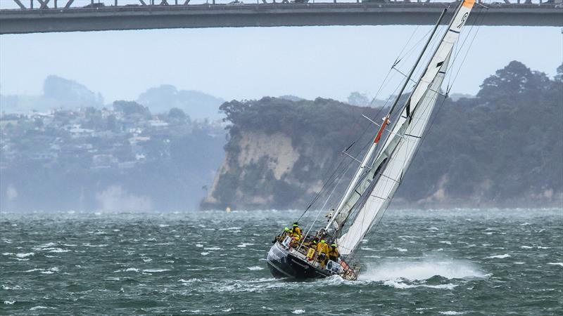 Translated 9 heading for the finish line on Leg 2 - December 12, 2023 photo copyright Richard Gladwell - Sail-World.com / nz taken at Royal New Zealand Yacht Squadron and featuring the Ocean Globe Race class