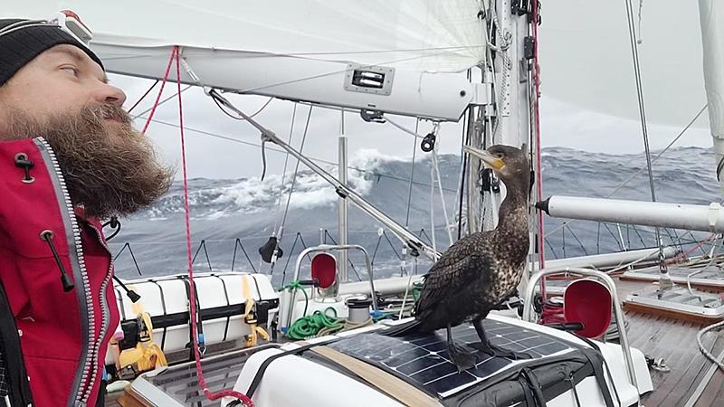 Ville no doubt explained to Franklin the Cormorant about his rock & roll career back in Finland, thanks to his No 1 single Port Tack photo copyright OGR2023 / Galiana WithSecure taken at  and featuring the Ocean Globe Race class