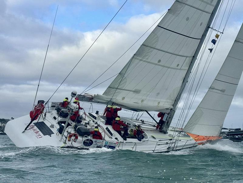 Maiden - Ocean Globe Finish, Auckland, December 2023 photo copyright Ocean Globe Race 2023 taken at Royal New Zealand Yacht Squadron and featuring the Ocean Globe Race class