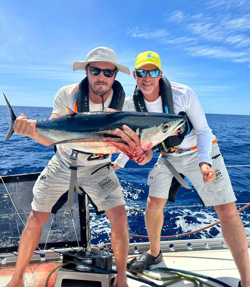 Enough fresh tuna to fuel the comeback for Spirit of Helsinki who took the most easterly route - clearly on the hunt for dinner photo copyright OGR2023 / Spirit of Helsinki taken at  and featuring the Ocean Globe Race class