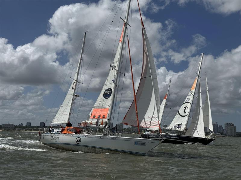 Explorer and Translated 9 sail with the Ocean Globe Race fleet off Punta del Este of the final leg to Cowes on 5 March 2024 - photo © Aïda Valceanu / OGR2023