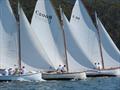 Inaugural Couta Week on Sydney Harbour & Pittwater © Judy Knott