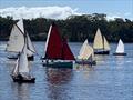 Noosa Yacht and Rowing Club Gaff Rig Regatta © Phil Atkins