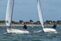 OK Dinghy Southern Area Championship at Hayling Island
