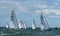 OK Dinghy Southern Area Championship at Hayling Island