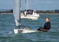OK Dinghy Southern Area Championship at Hayling Island