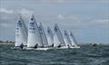 OK Dinghy Southern Area Championship at Hayling Island