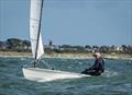 OK Dinghy Southern Area Championship at Hayling Island