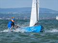 OK Dinghy Southern Area Championship at Hayling Island