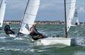 OK Dinghy Southern Area Championship at Hayling Island