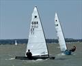 OK Nationals at Dabchicks © Charlton Timms