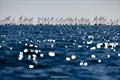 OK Dinghy Worlds at Lake Garda Day 5 © Robert Deaves / www.robertdeaves.uk