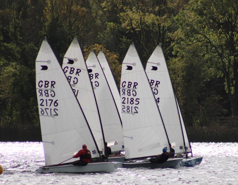 OKs at Sout Staffs photo copyright South Staffs SC taken at South Staffordshire Sailing Club and featuring the OK class