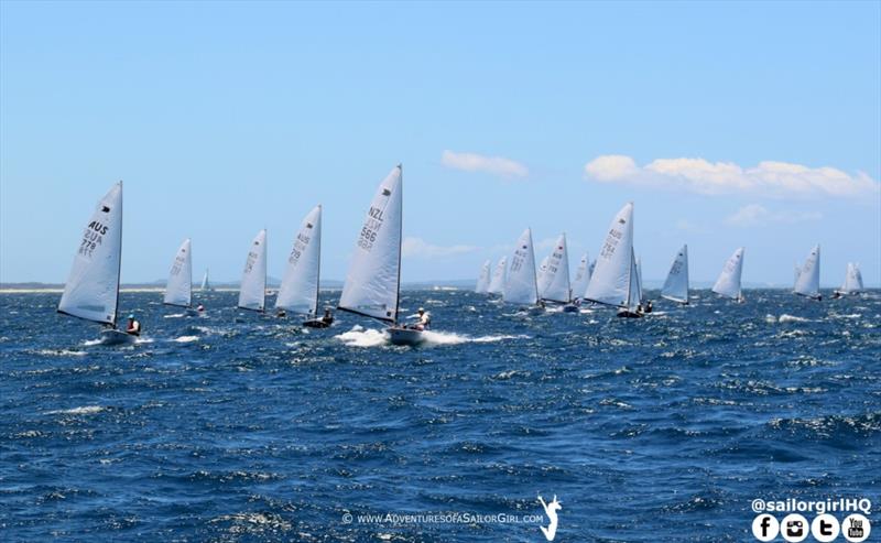 2018 OK Dinghy Nationals at the Southport Yacht Club photo copyright Nic Douglass / www.AdventuresofaSailorGirl.com taken at  and featuring the OK class