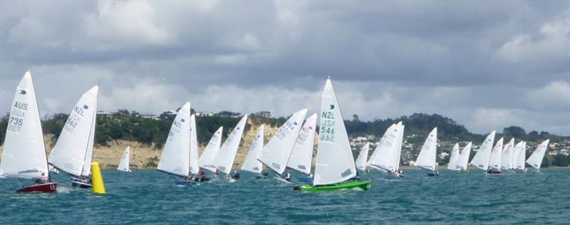 OK Dinghy fleet sailing off Takapuna, Auckland - photo © OKDIA