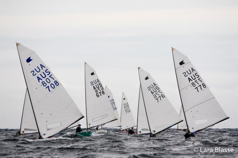 Kelvin Holdt (AUS 708) leads a group downwind - Australian OK Dinghy Nationals, Day 1 - photo © Lara Blasse