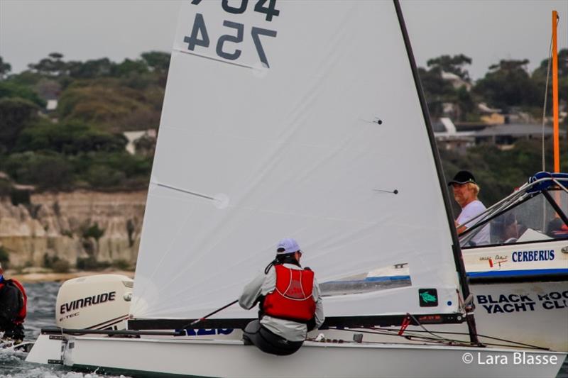 Brent Williams - Australian OK Dinghy Nationals, Day 2 photo copyright Lara Blasse taken at  and featuring the OK class